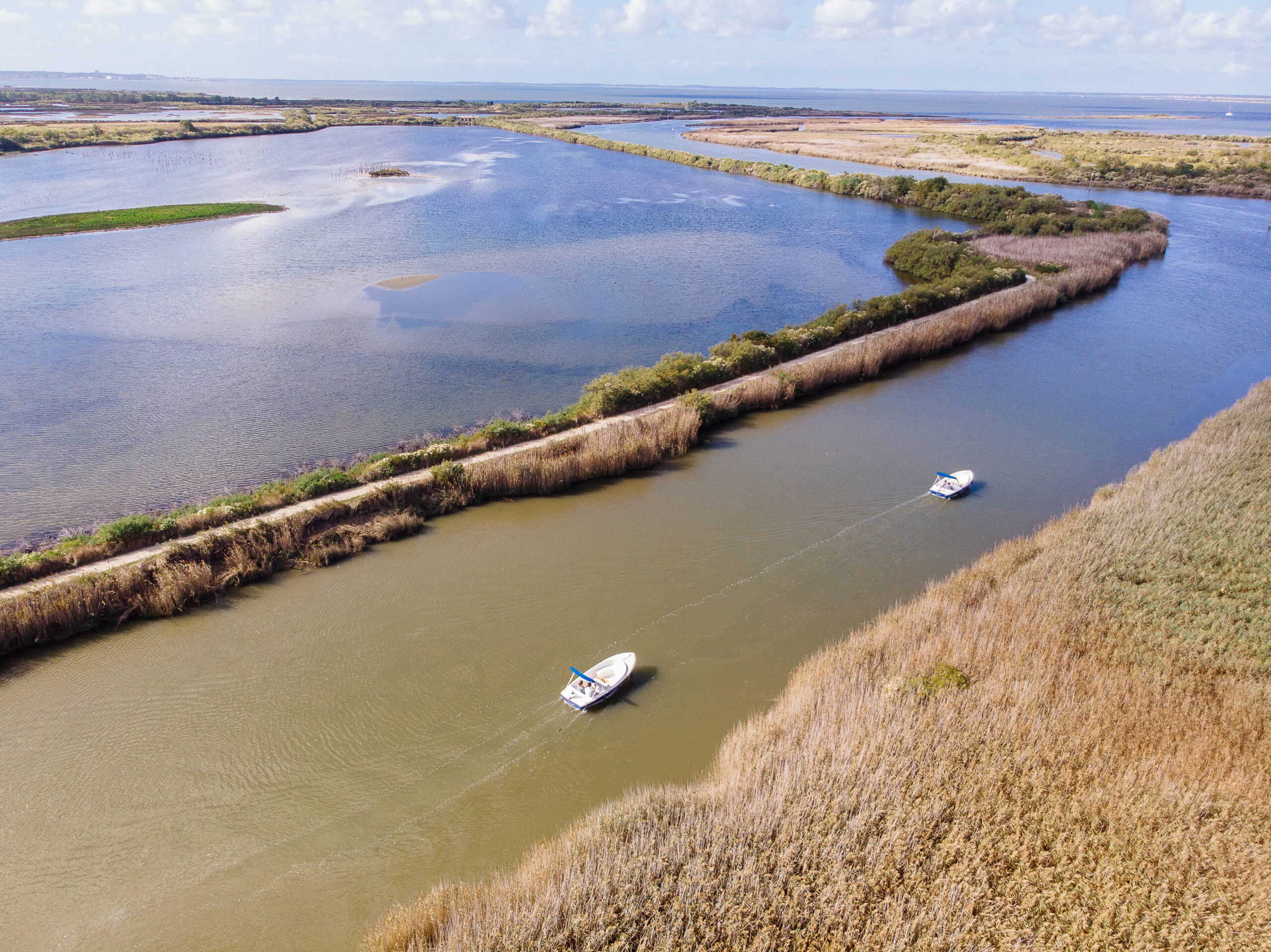 Cap sur la réserve ornithologique du Teich ! - bateau electrique sans permis port du teich delta de la leyre scaled - Bassin d'Arcachon