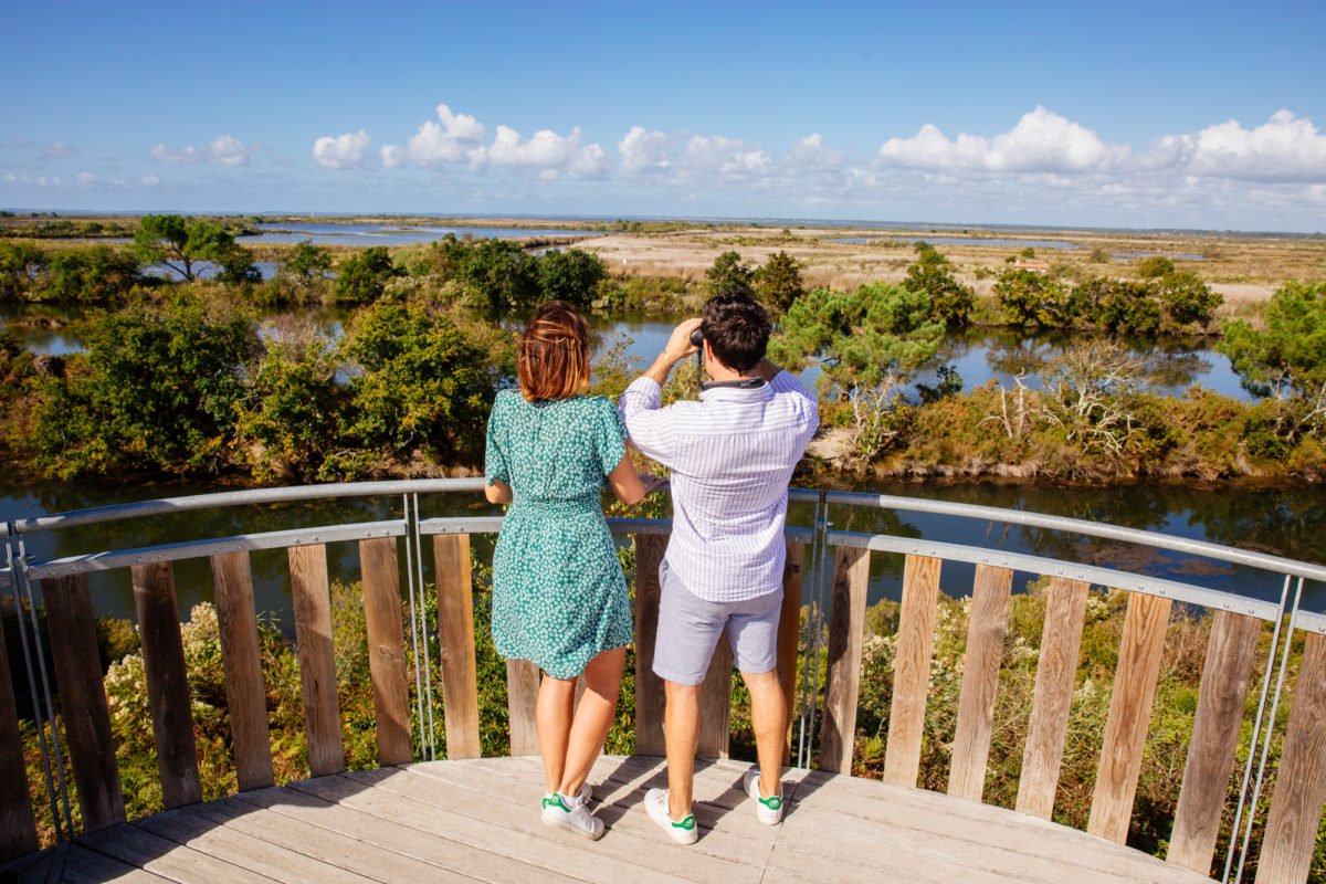 Cap sur la réserve ornithologique du Teich ! - reserve ornithologique bassin arcachon agence les conteurs 23 - Bassin d'Arcachon