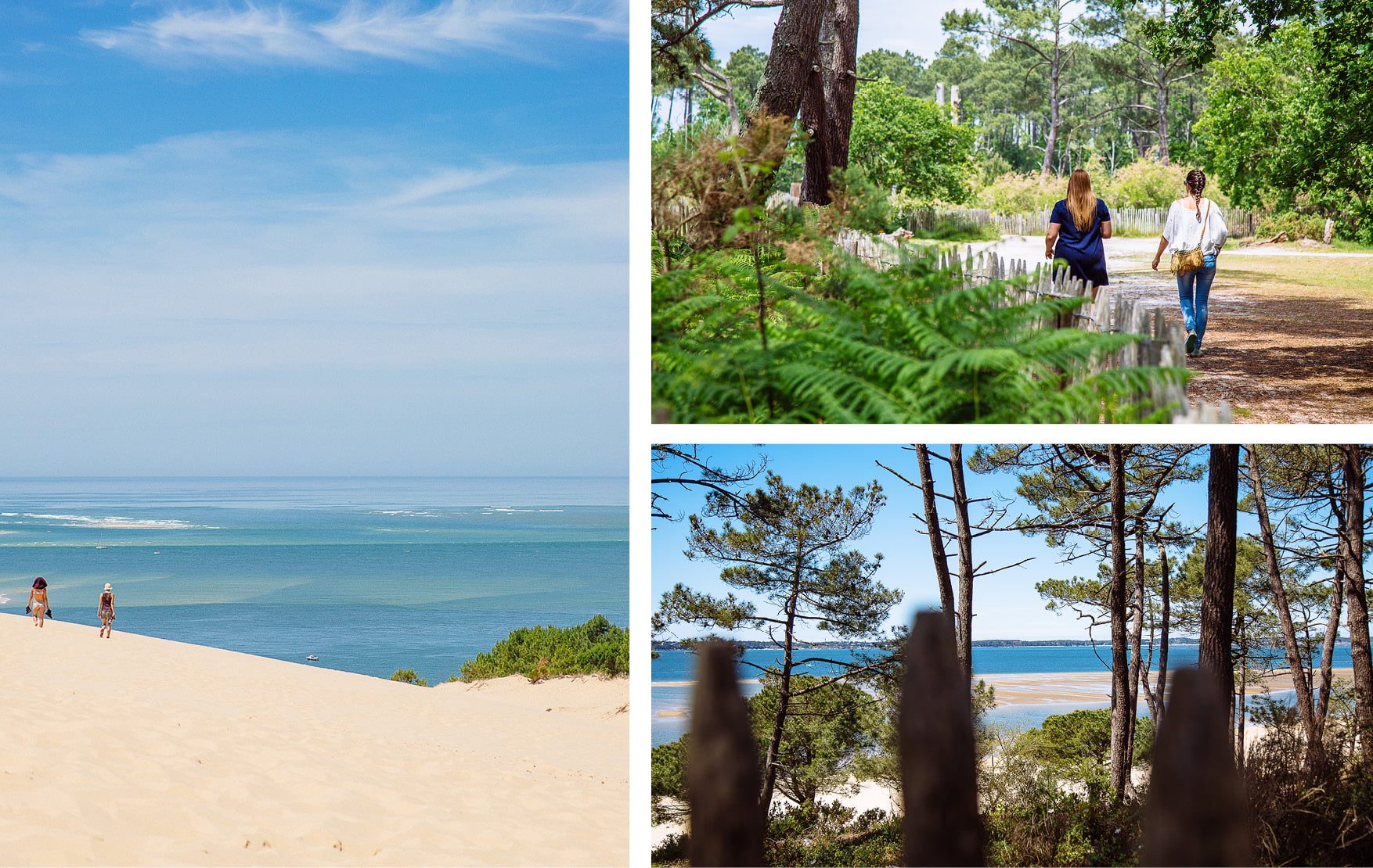4 idées pour une découverte active du Bassin d’Arcachon - randonnée visite bassin darcachon - Bassin d'Arcachon