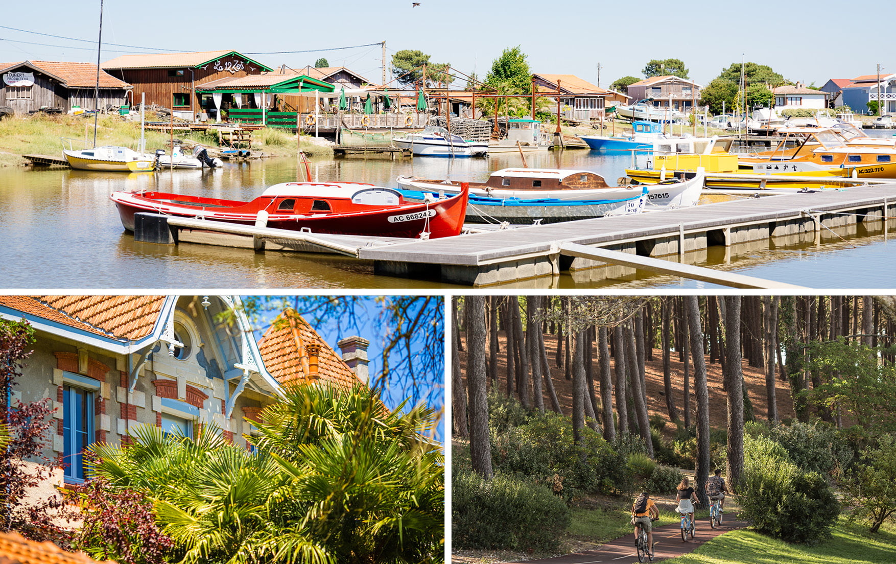 Vivre le Bassin d’Arcachon en 4 visites - velo arcachon la teste de buch - Bassin d'Arcachon