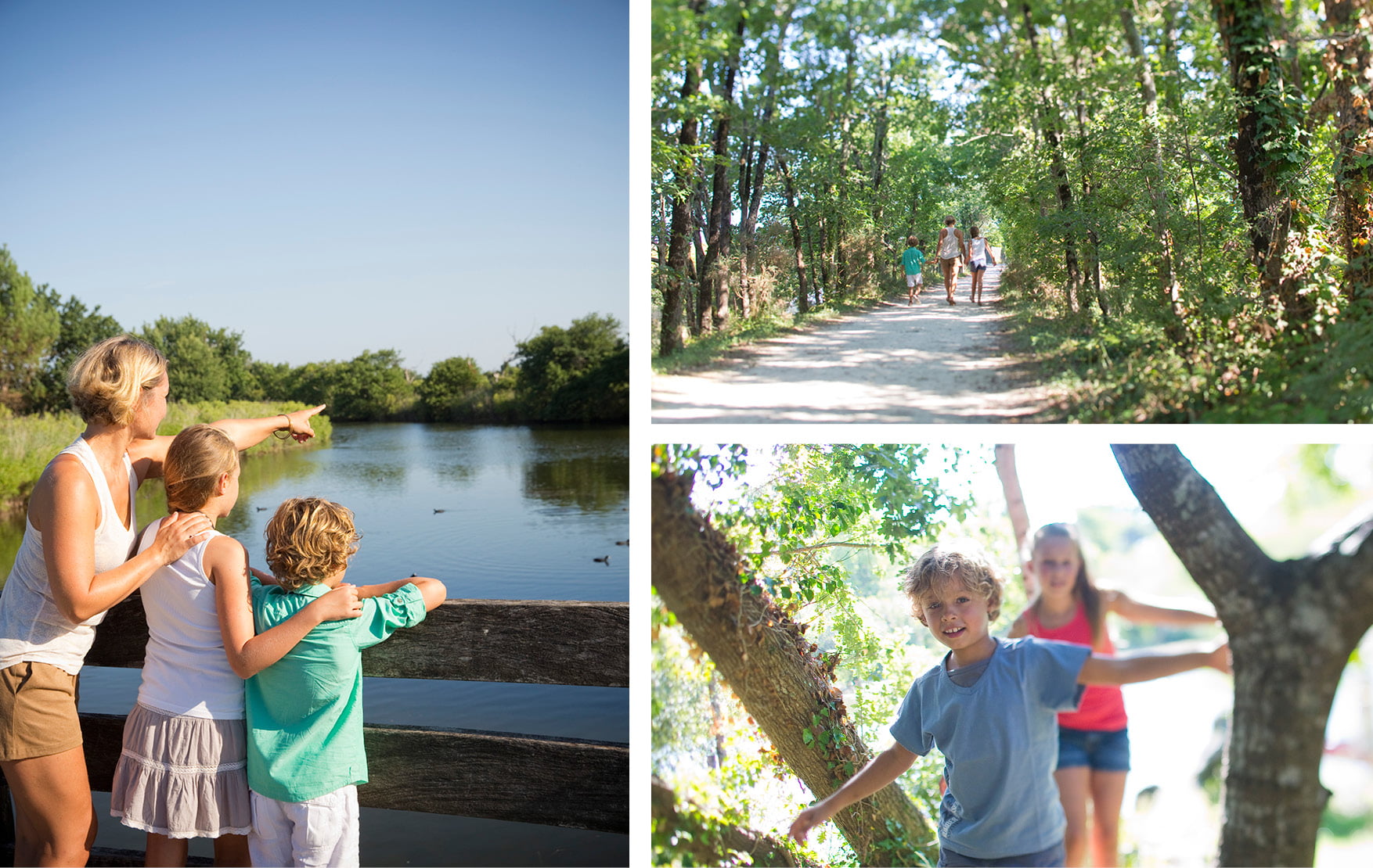 Cap sur la réserve ornithologique du Teich ! - le teich - Bassin d'Arcachon