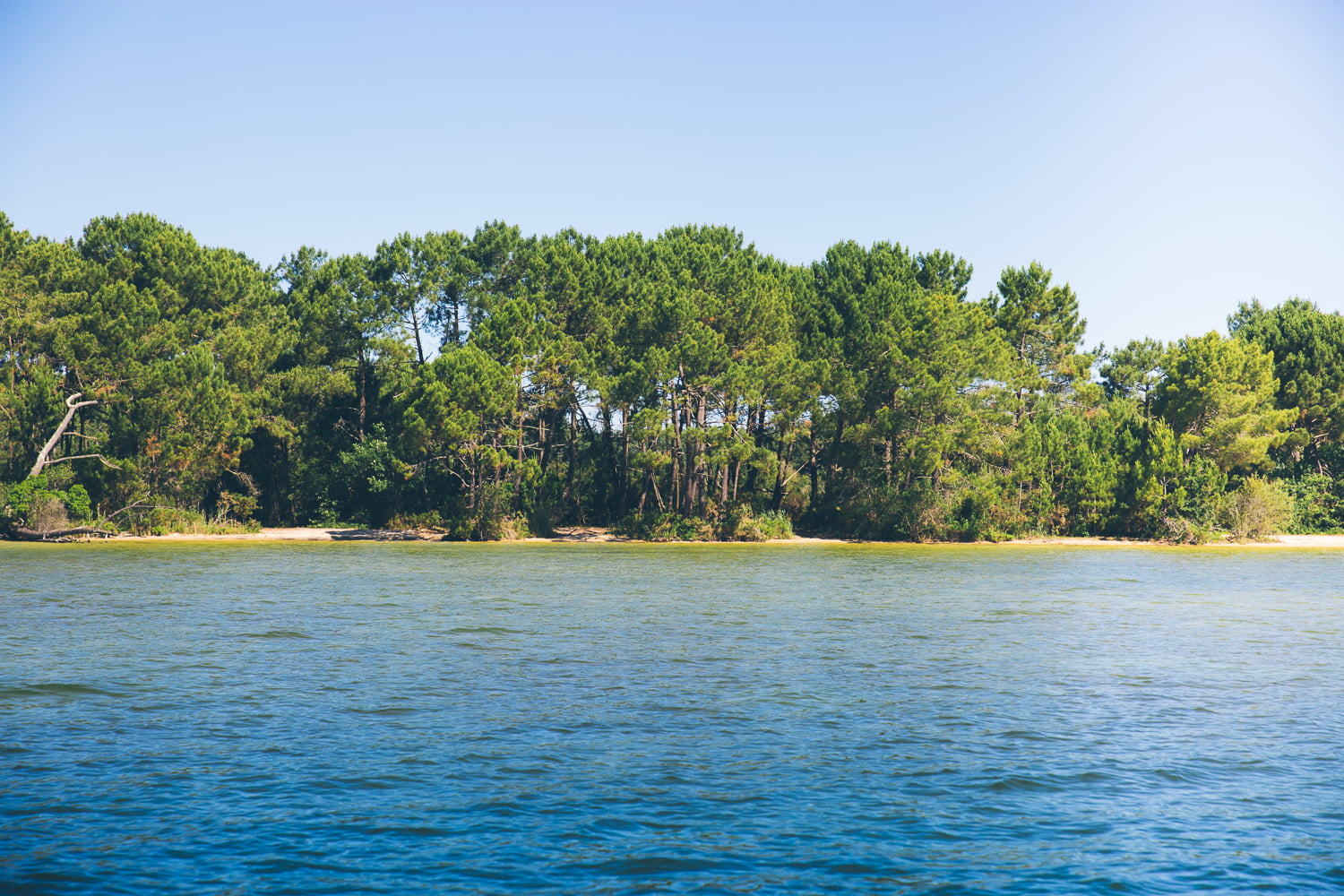 Une journée sur le Lac de Cazaux à La Teste de Buch - voilier siba agence les conteurs 62 - Bassin d'Arcachon