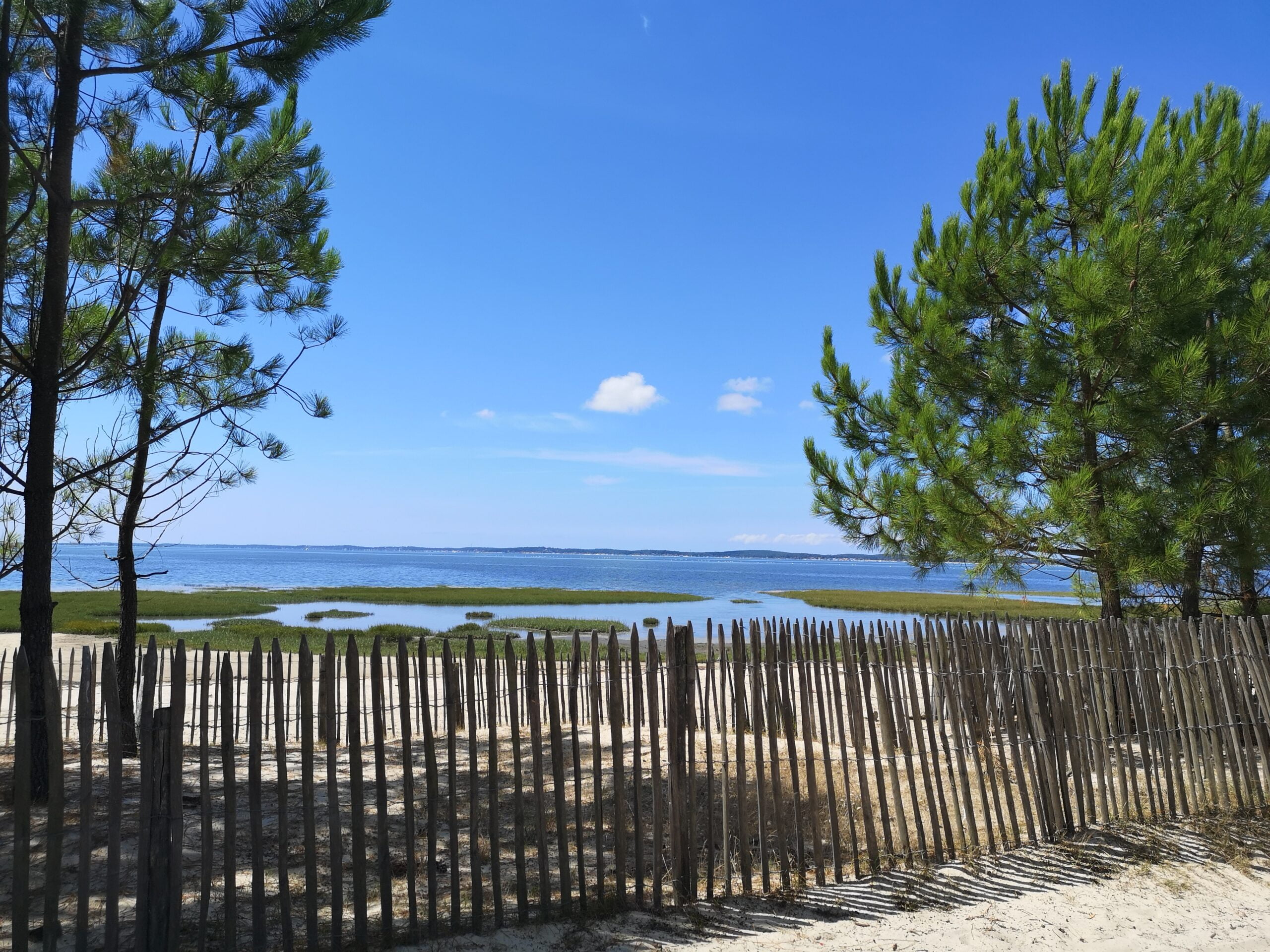 Le tour du Bassin d'Arcachon à pied - 5 QuinconcescAngélique Saget scaled - Bassin d'Arcachon