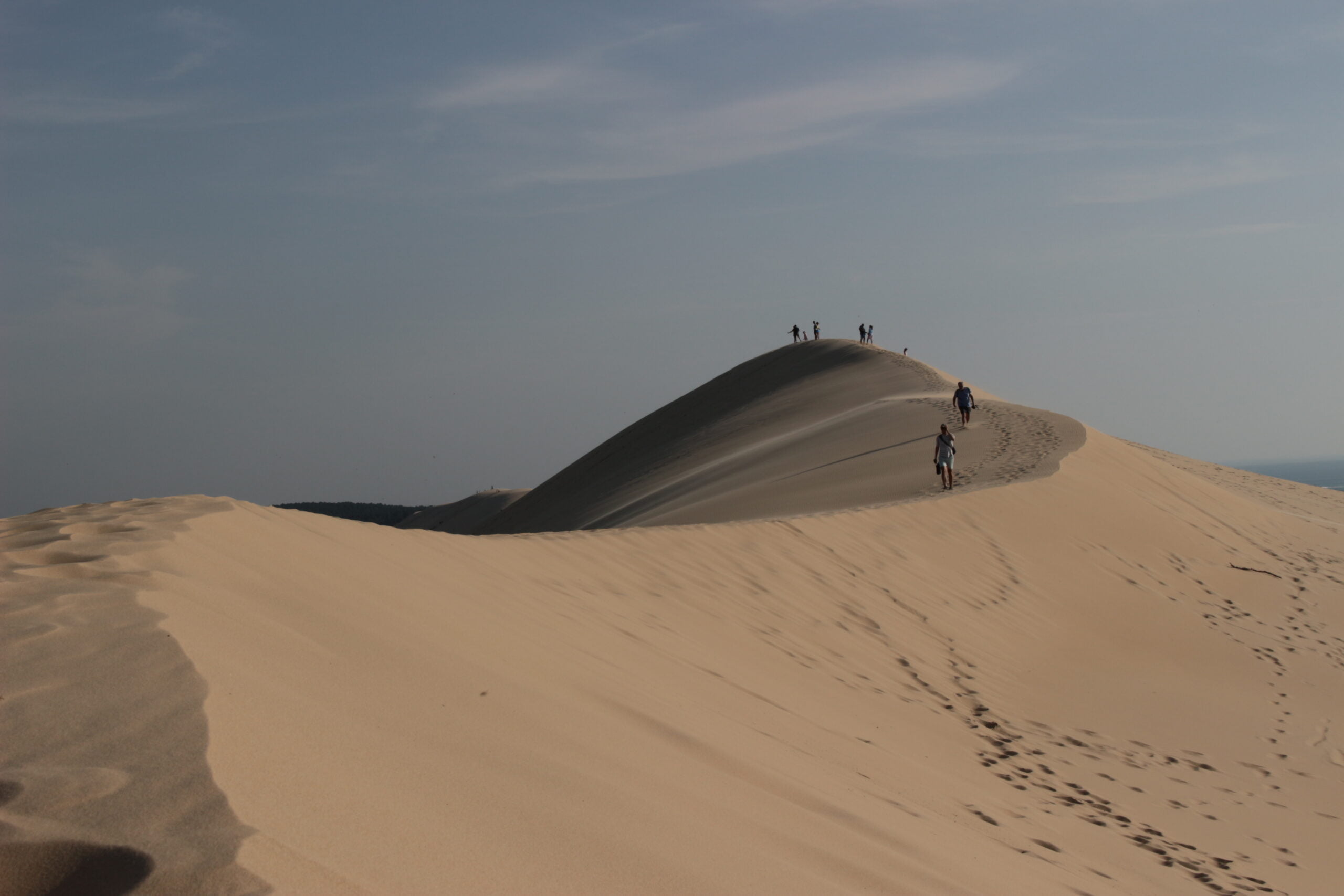 Le tour du Bassin d'Arcachon à pied - 5Dune du Pilat Sommet IMG 6040cAngéliqueSaget scaled - Bassin d'Arcachon