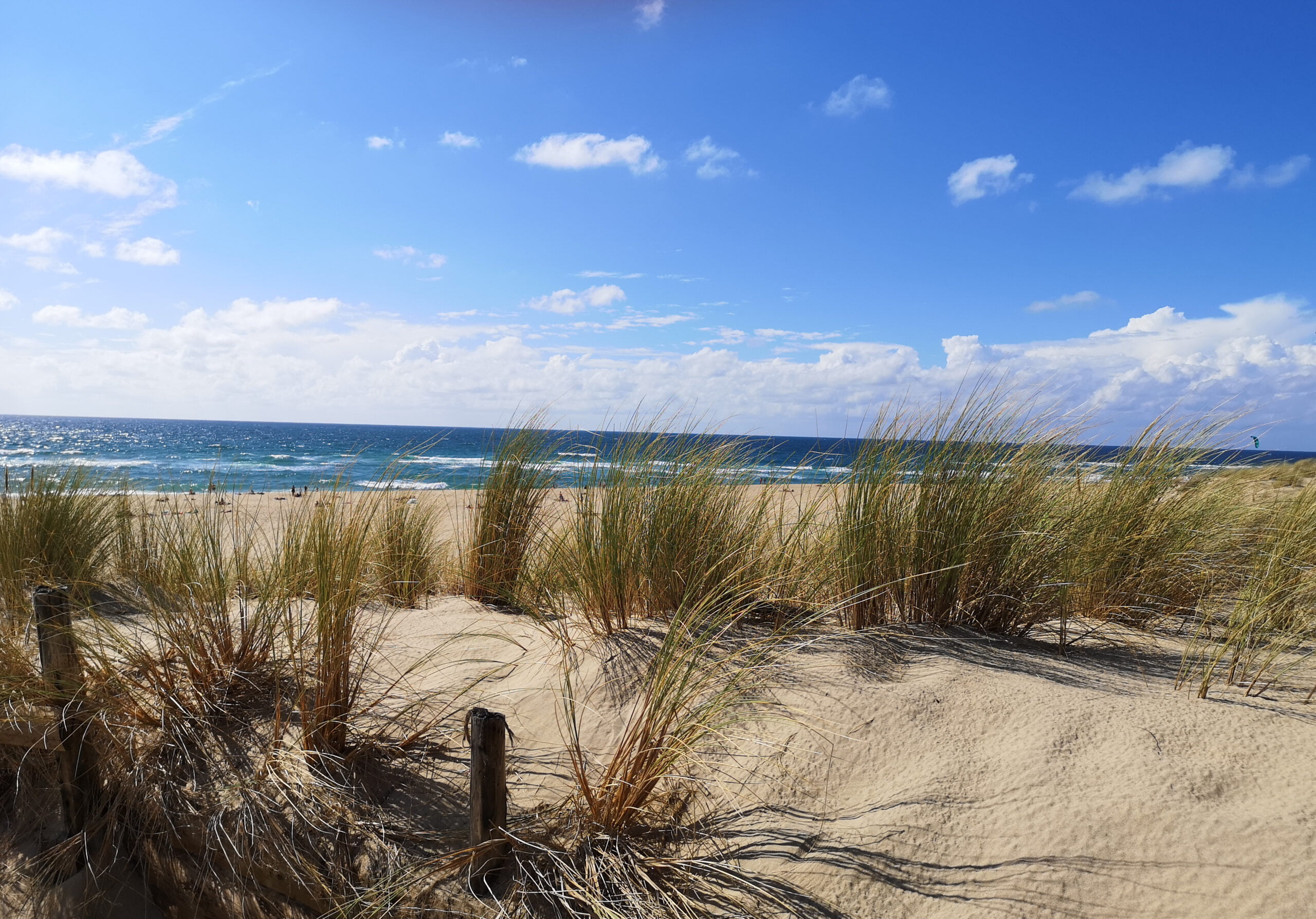 Le tour du Bassin d'Arcachon à pied - 7 Dunes au Cap FerretcAngélique Saget scaled - Bassin d'Arcachon