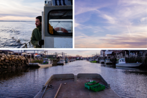 Du Bassin...à l'assiette : vis ma vie d'ostréiculteur! - Sans titre 6 - Bassin d'Arcachon