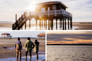 Du Bassin...à l'assiette : vis ma vie d'ostréiculteur! - Sans titre 8 - Bassin d'Arcachon