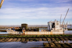 Du Bassin...à l'assiette : vis ma vie d'ostréiculteur! - pescatourisme SIBA agence les conteurs 86 - Bassin d'Arcachon
