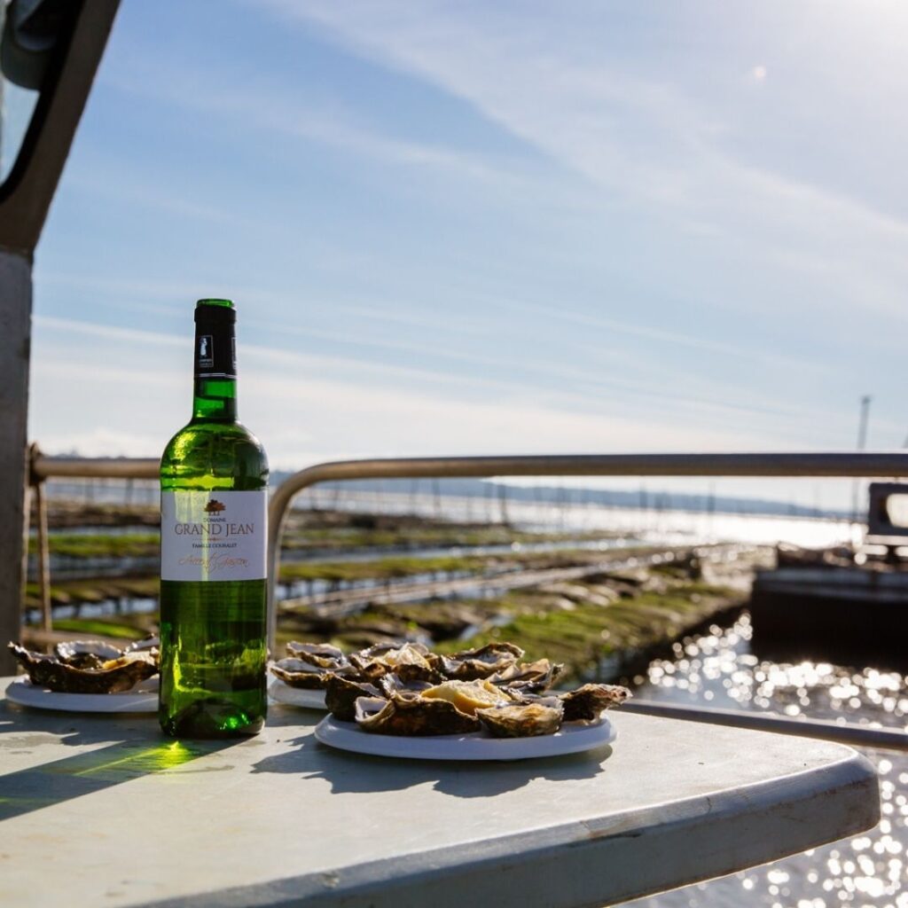 Du Bassin...à l'assiette : vis ma vie d'ostréiculteur! - Sans titre 5 - Bassin d'Arcachon