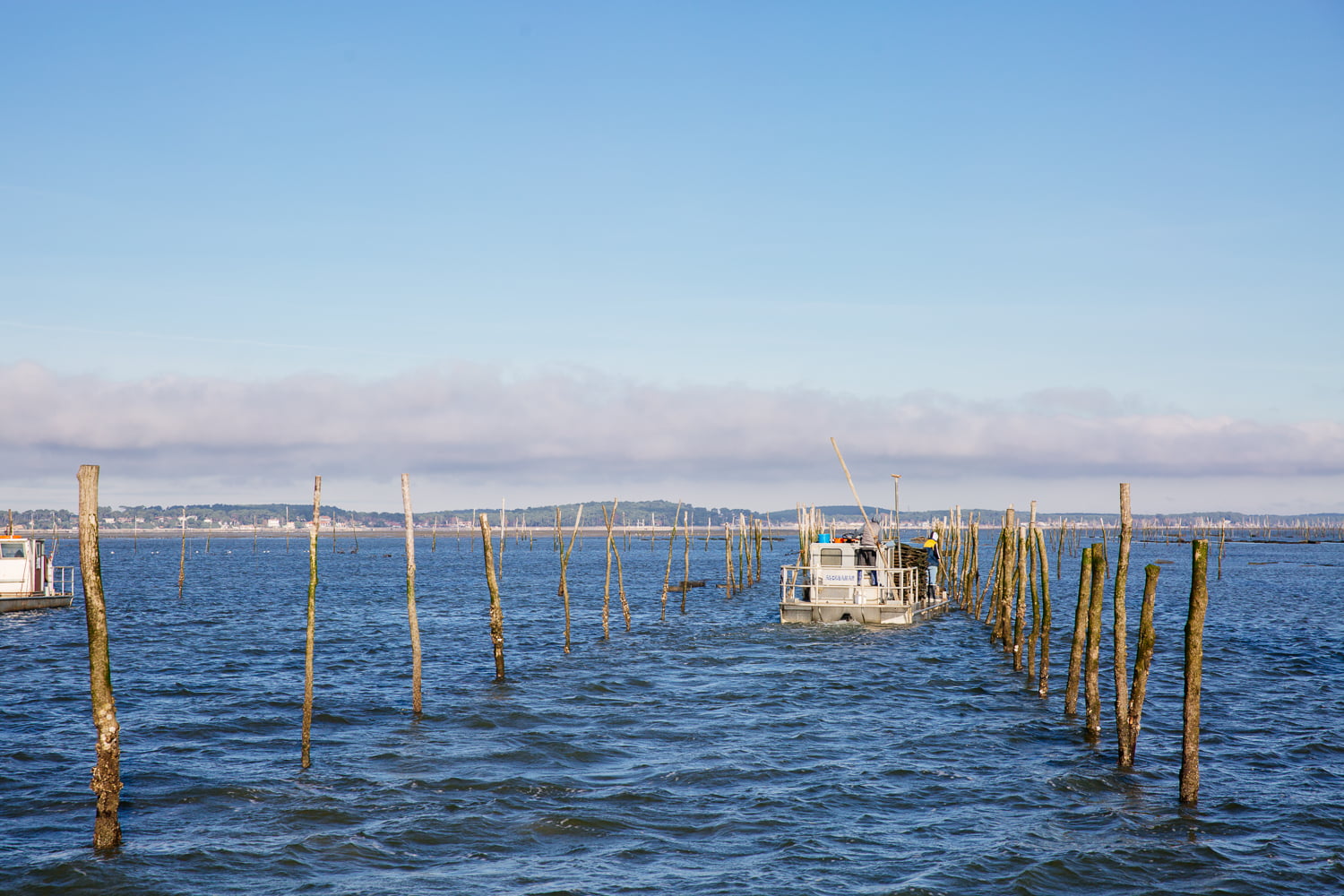Du Bassin...à l'assiette : vis ma vie d'ostréiculteur! - pescatourisme SIBA agence les conteurs 23 - Bassin d'Arcachon