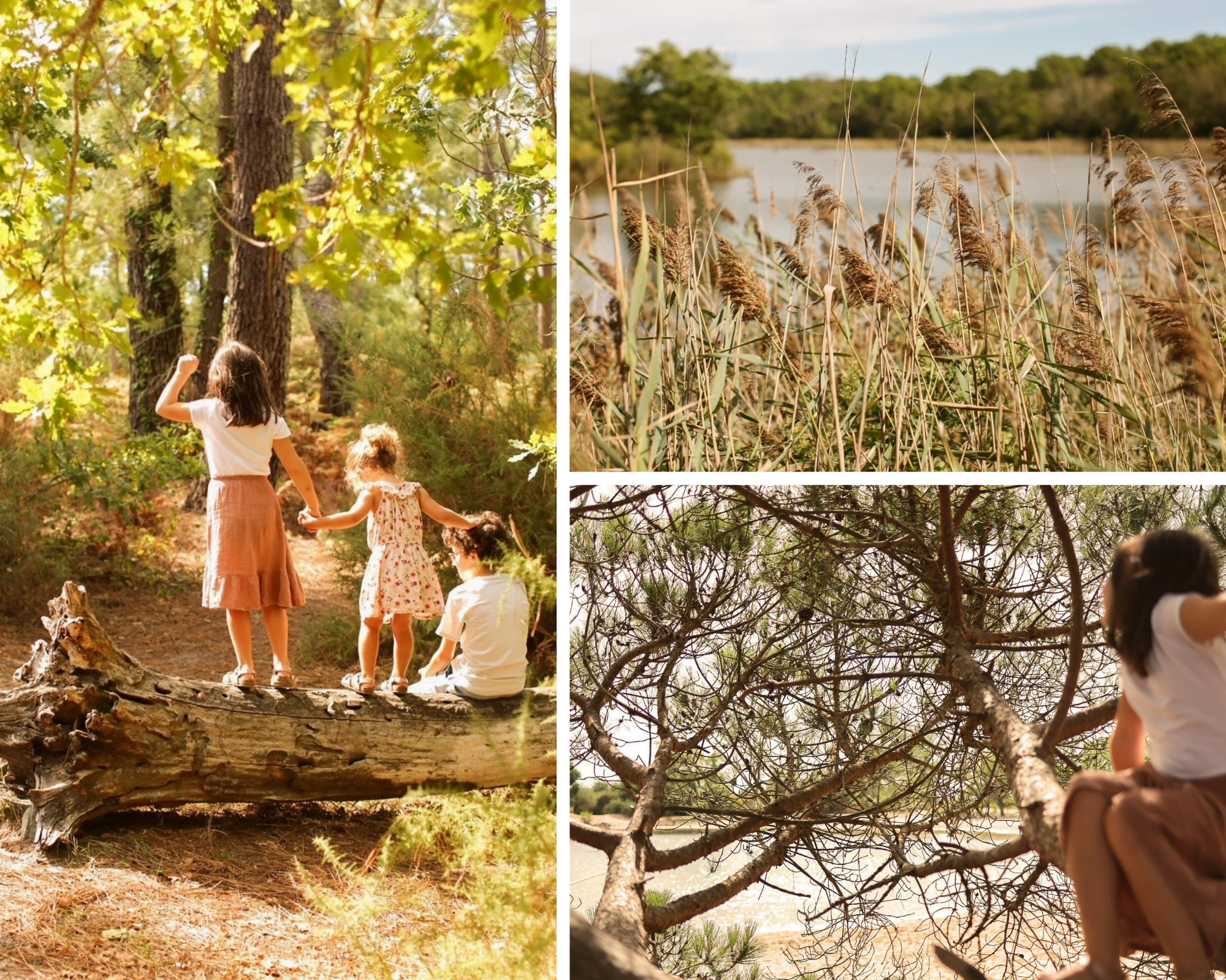 Prémices d'automne - Copie de blog octobre 6 - Bassin d'Arcachon