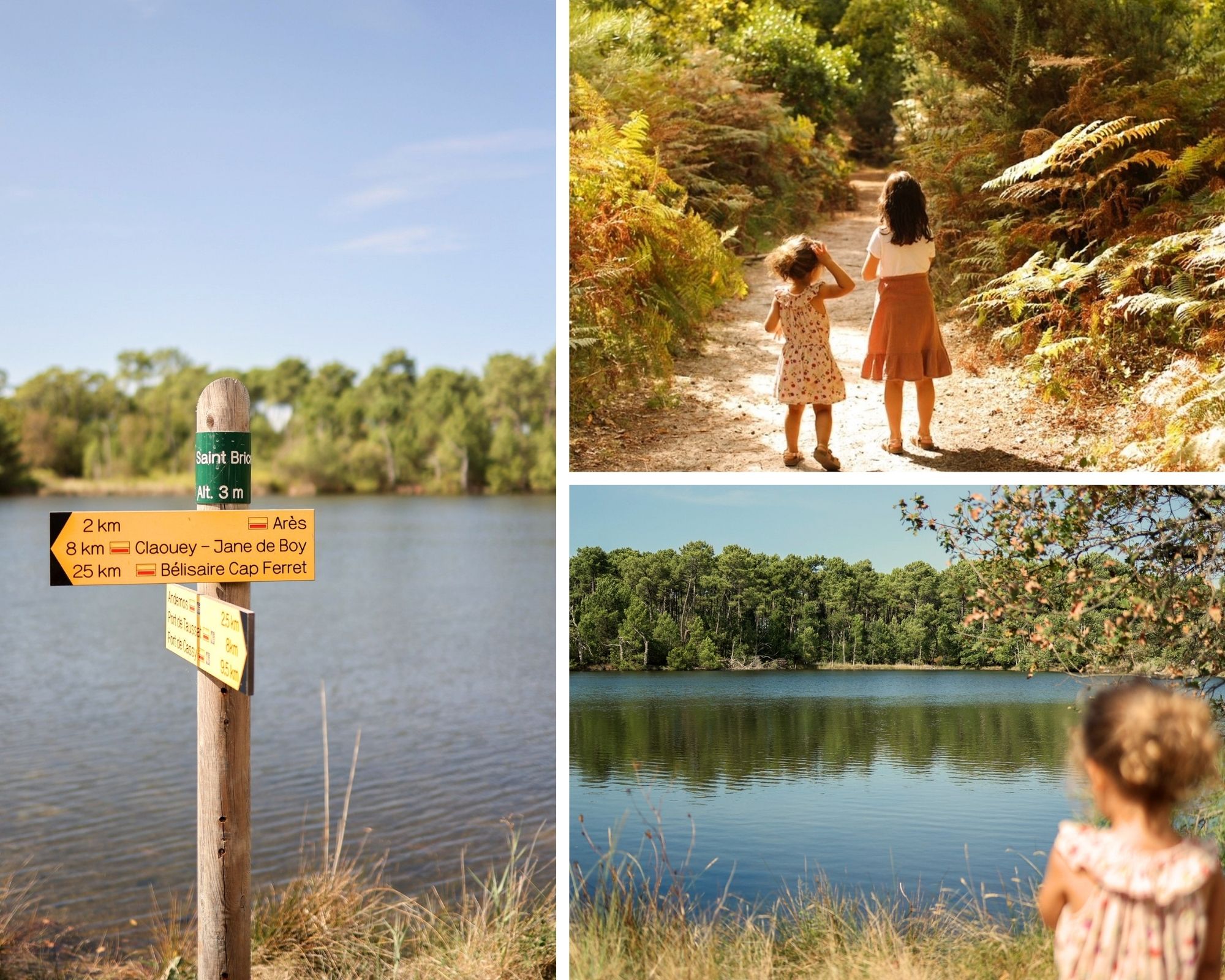 Prémices d'automne - Copie de blog octobre - Bassin d'Arcachon