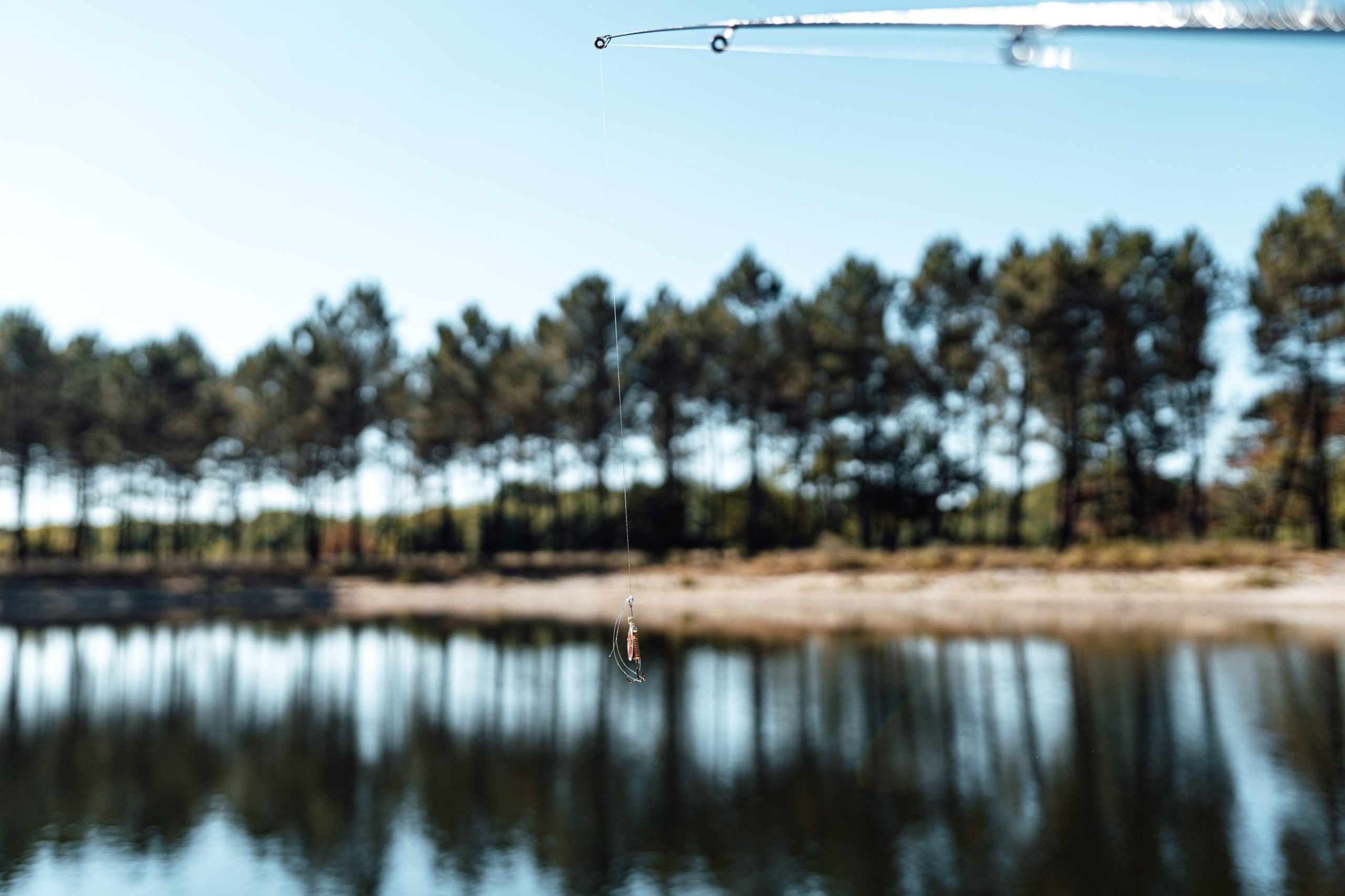 Du soleil et des copains sur le cœur du Bassin ! - DSC06766 scaled - Bassin d'Arcachon