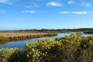 Le Domaine de Certes et de Graveyron - Domaines Certes Graveyron Bassin Arcachon 2 - Bassin d'Arcachon