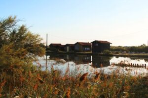 Les villages et ports ostréicoles - Port de gujan - Bassin d'Arcachon