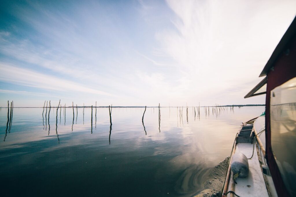 Lège-Cap Ferret - balade pinasse lege cap ferret 60 - Bassin d'Arcachon