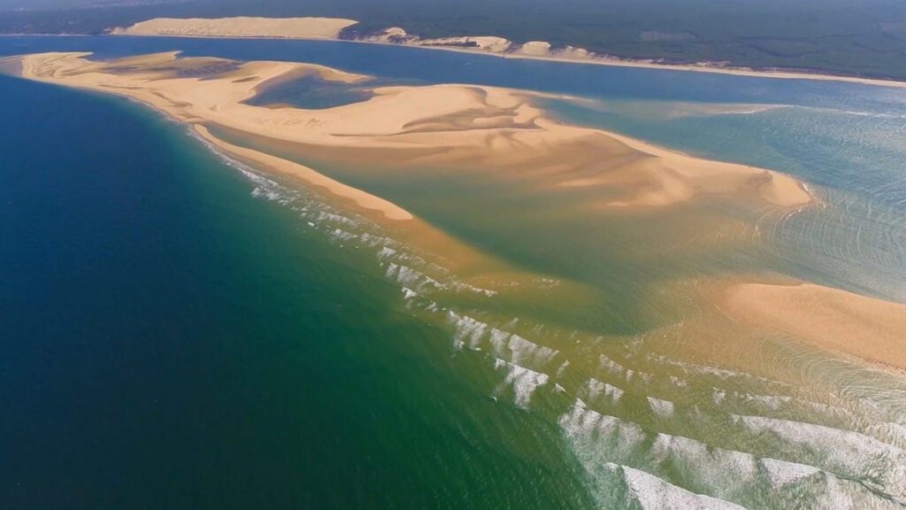 La Teste de Buch - banc arguin guide - Bassin d'Arcachon