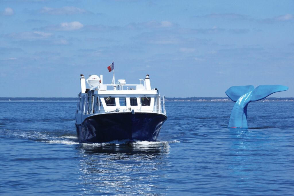 Les balades en bateau - bateau baleine - Bassin d'Arcachon