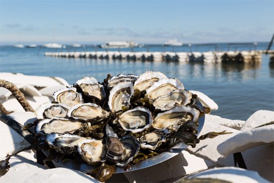 Le Bassin à toute saison - ete1 - Bassin d'Arcachon