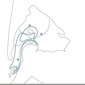 Les balades en bateau - mini map - Bassin d'Arcachon