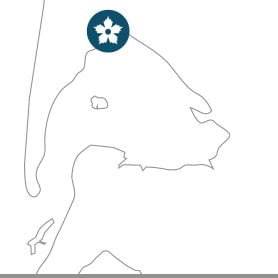 Les prés salés d’Arès-Lège - mini map pres sales ares - Bassin d'Arcachon