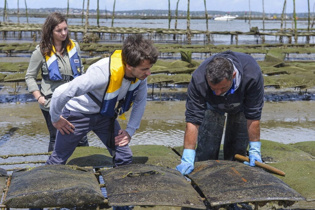 Le Bassin d’Arcachon en Automne - ostreiculteur bassin arcachon - Bassin d'Arcachon