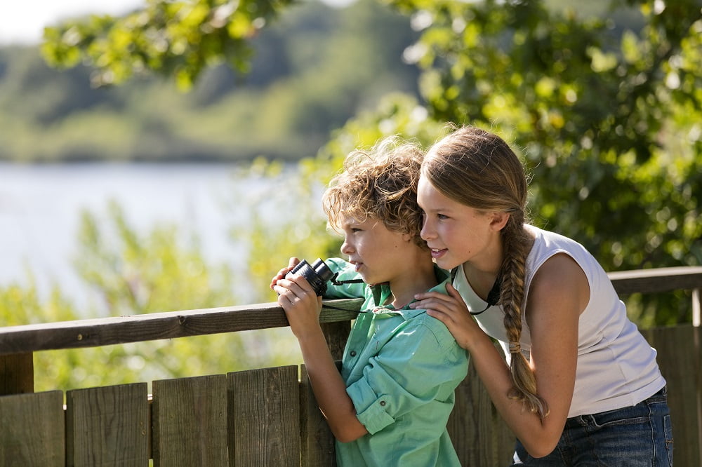 Le Teich - reserve ornithologique le teich bassin darcachon 1 - Bassin d'Arcachon