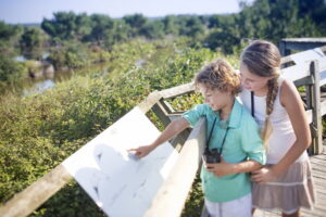 La réserve ornithologique du Teich - reserve ornithologique le teich bassin darcachon 3 - Bassin d'Arcachon