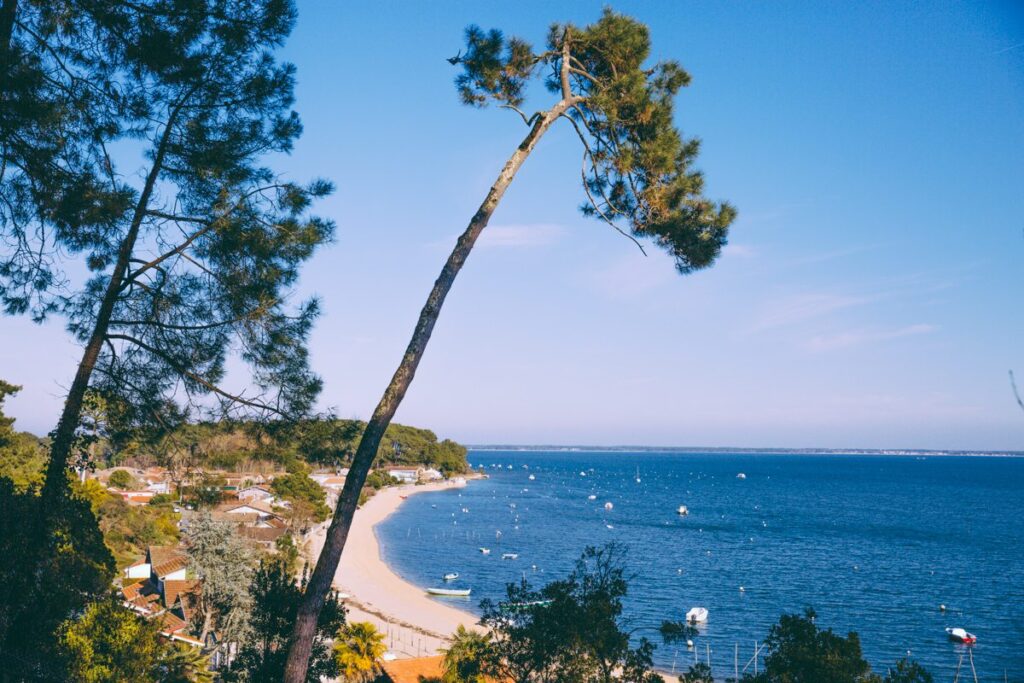 Lège-Cap Ferret - pointe aux chevaux hiver - Bassin d'Arcachon