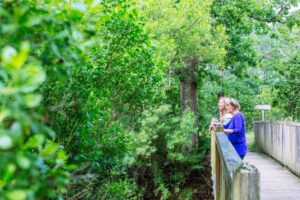Balade dans le domaine de Certes à Audenge