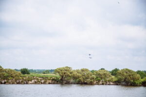 5 balades conseillées par notre guide nature - domaine de certes 37 - Bassin d'Arcachon