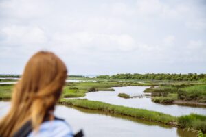 5 balades conseillées par notre guide nature - domaine de certes 39 - Bassin d'Arcachon