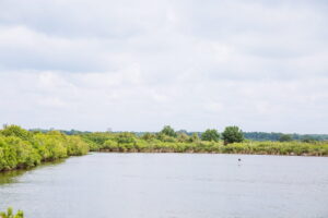 5 balades conseillées par notre guide nature - domaine de certes 41 - Bassin d'Arcachon