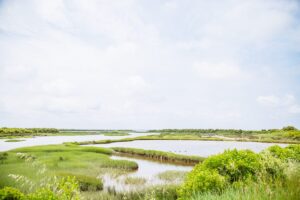5 balades conseillées par notre guide nature - domaine de certes 44 - Bassin d'Arcachon