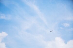 5 balades conseillées par notre guide nature - domaine de certes 51 - Bassin d'Arcachon