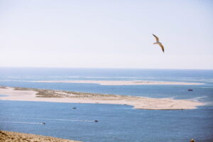 5 balades conseillées par notre guide nature - dune du pilat 6 - Bassin d'Arcachon
