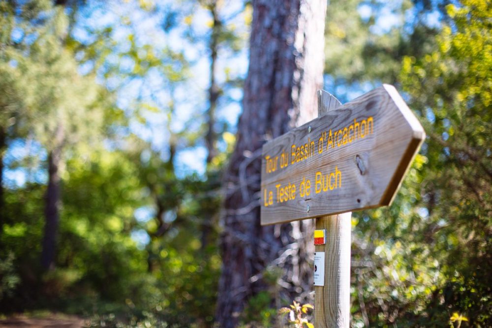 Indications dans la forêt dunaire de Camicas à Arcachon
