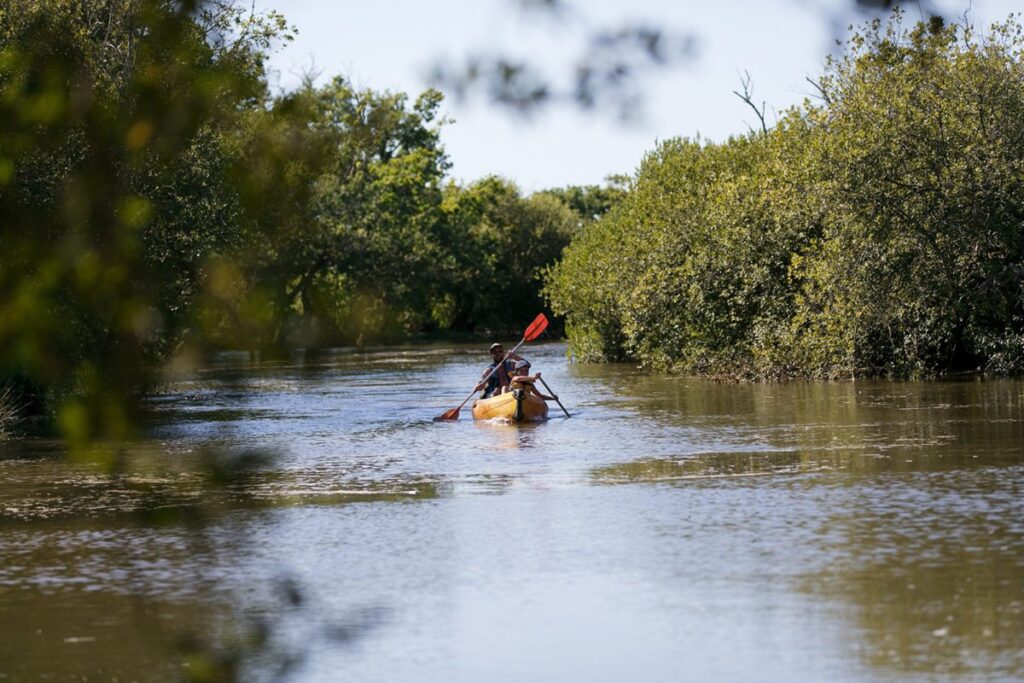 Nos campings au Teich - le teich leyre - Bassin d'Arcachon