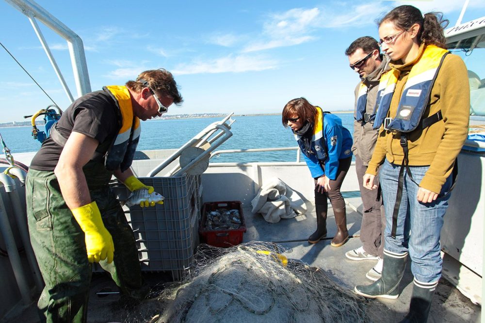 Sortie sur un bateau de pêche au Bassin d'Arcachon