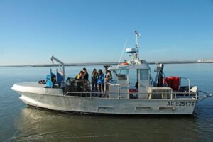 Sortie sur un bateau de pêche au Bassin d'Arcachon
