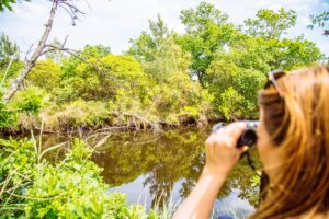 5 balades conseillées par notre guide nature - pres sales ares 14 2 - Bassin d'Arcachon