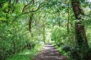 5 balades conseillées par notre guide nature - rives de l eyre 11 - Bassin d'Arcachon
