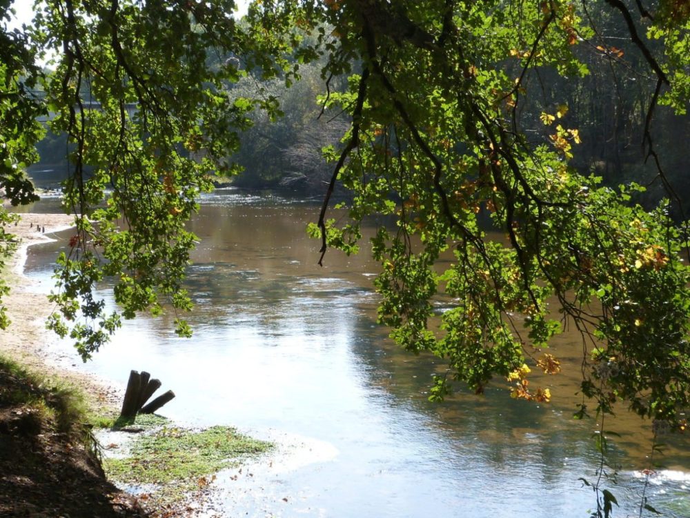 Balade sur les bords de la Leyre