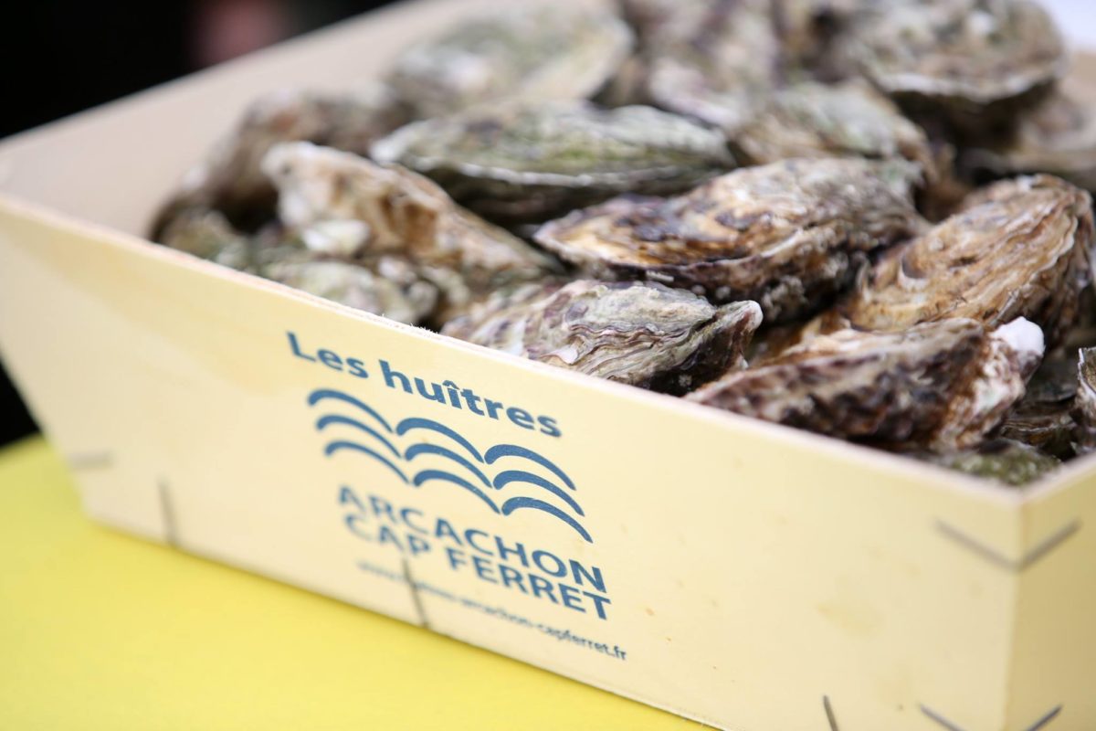 Le calendrier de l'avent du Bassin d'Arcachon - 20229554 1256062677837417 2934134375100938918 o - Bassin d'Arcachon