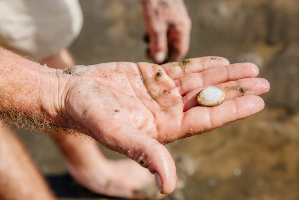 Le calendrier de l'avent du Bassin d'Arcachon - peche a pieds SIBA agence les conteurs 30 - Bassin d'Arcachon