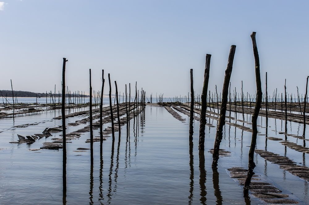 Plein les yeux au Port de Larros - Bassin dArcachon - Bassin d'Arcachon