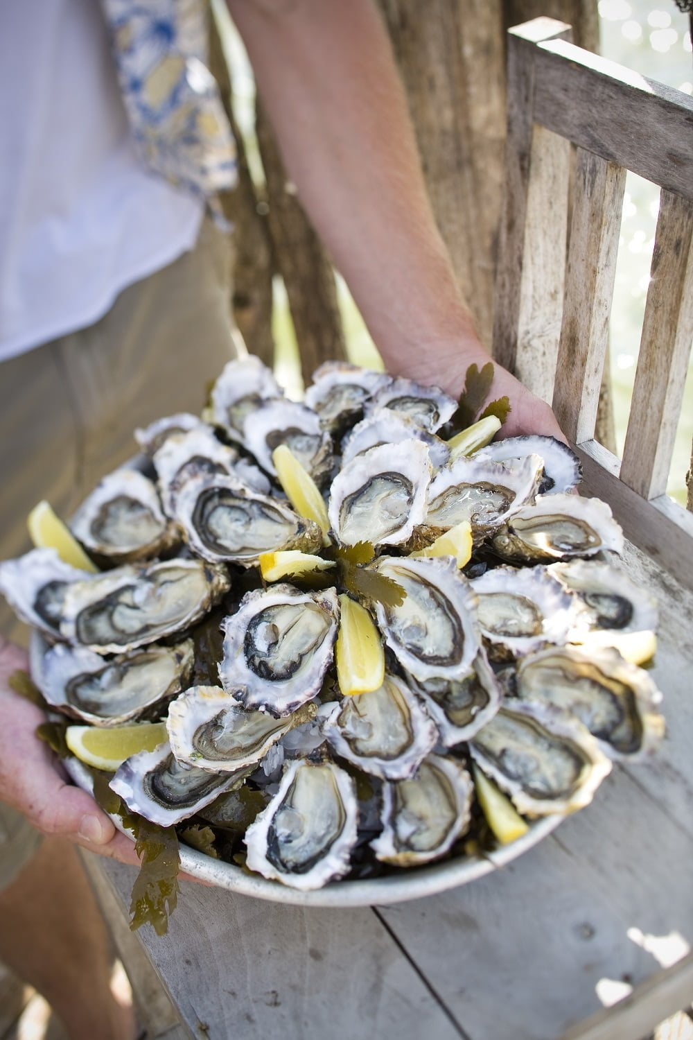 Spend a day in the Bay with an oyster farmer or fisherman! - Degustation huitre arcachon cap ferret - Bassin d'Arcachon