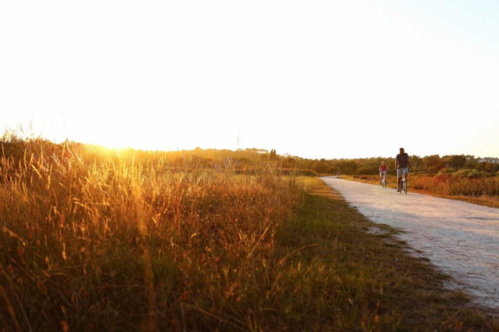 Nos locations de vacances à la Teste De Buch - Prés salés ouest La Teste de Buch 1 - Bassin d'Arcachon
