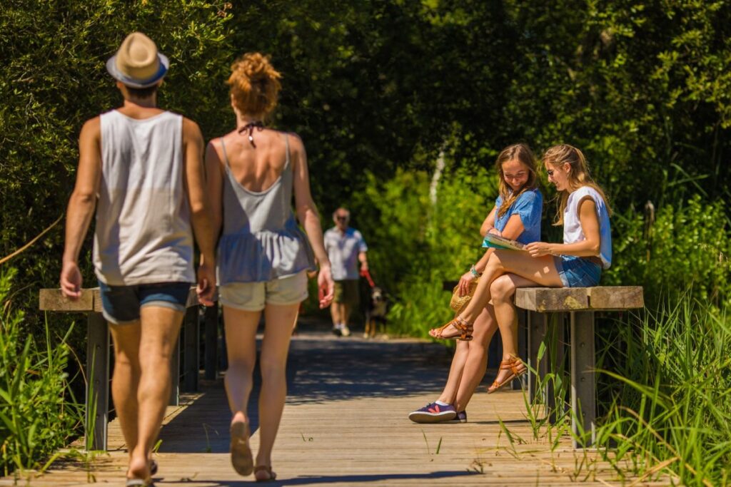 Prés Salés Ouest, notre p'tit coin secret - Prés salés ouest La Teste de Buch 3 - Bassin d'Arcachon