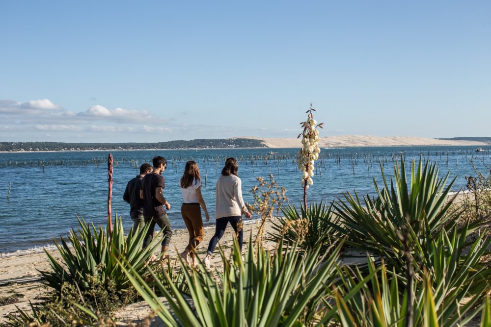 Balade au Cap Ferret avec vue sur la Dune du Pilat